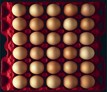 Eggs