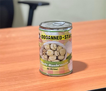 Canned Mushroom