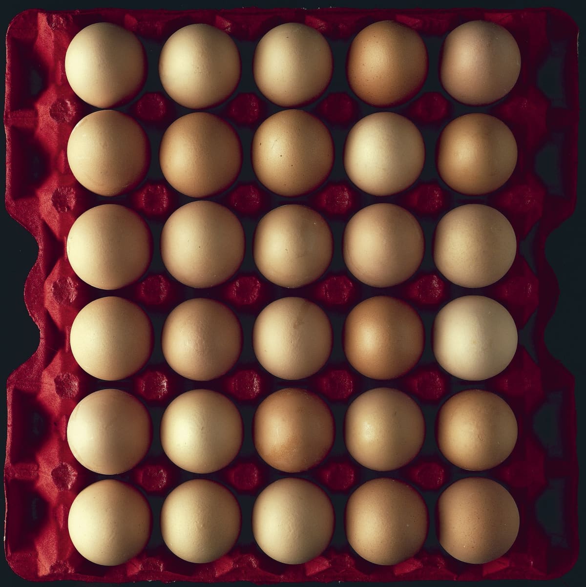  Fast Consumable Goods